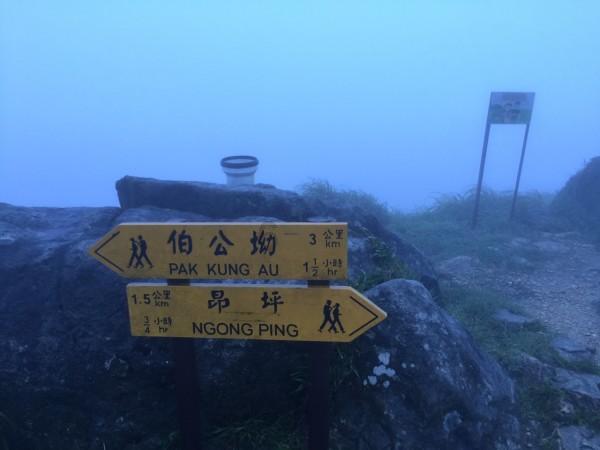 笑脸球的冒险之旅