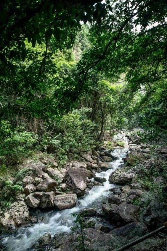 拯救蝙蝠家族